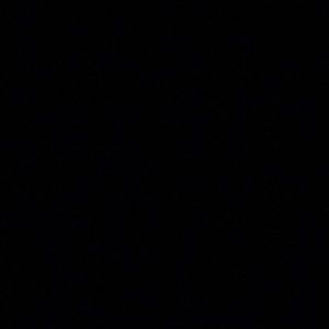 Meet your Posher, Lexi